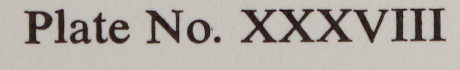 Five Signed Ray Harm Prints