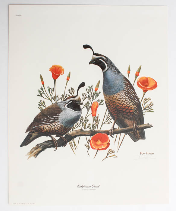 Five Signed Ray Harm Prints