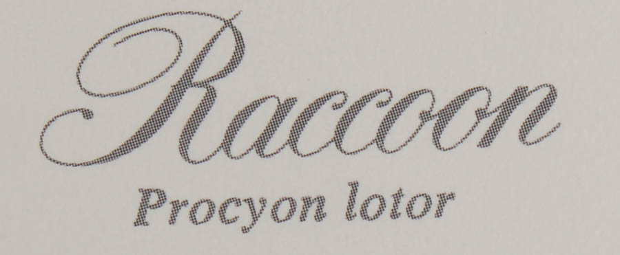 Five Signed Ray Harm Prints