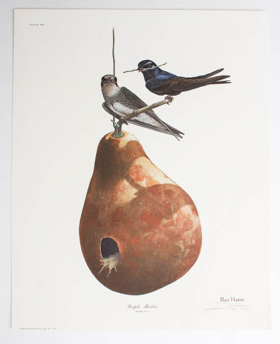 Five Signed Ray Harm Prints