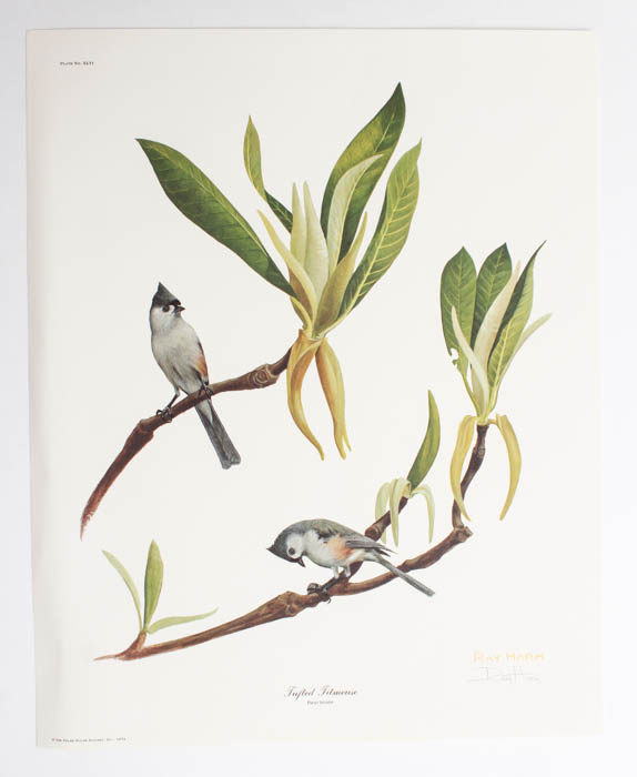 Five Signed Ray Harm Prints