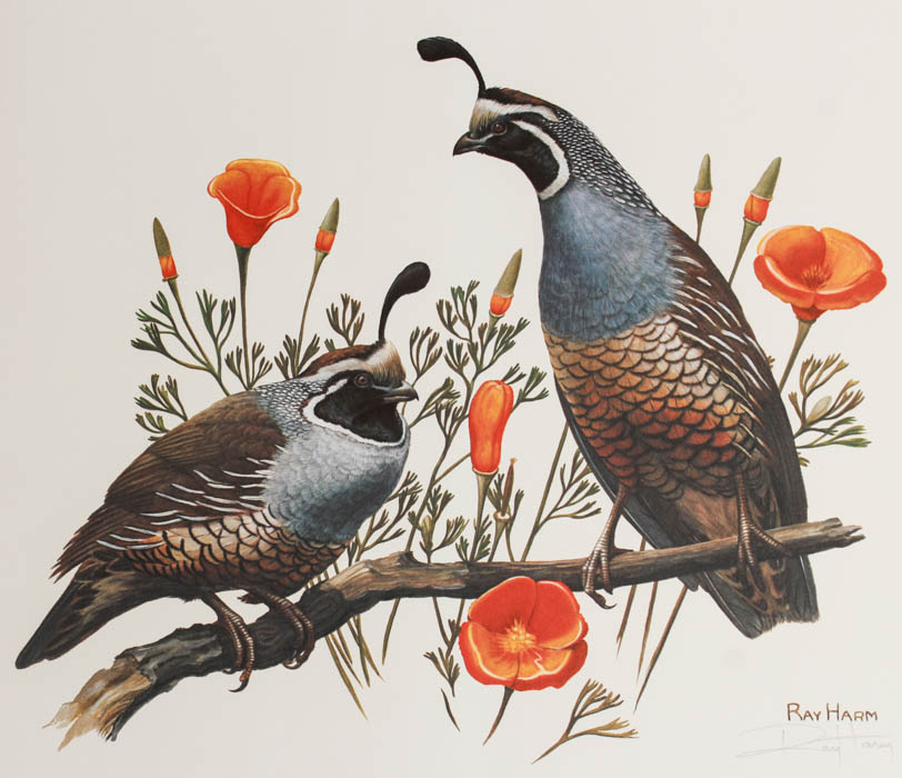 Five Signed Ray Harm Prints