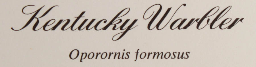 Five Signed Ray Harm Prints