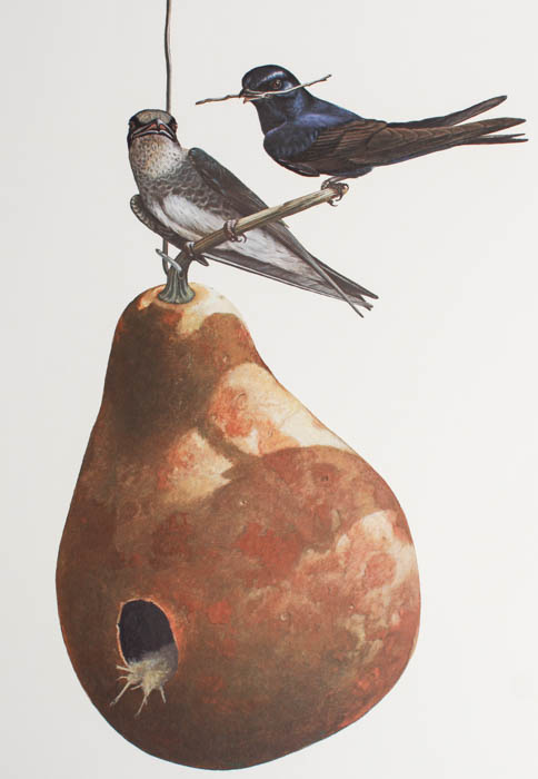 Five Signed Ray Harm Prints