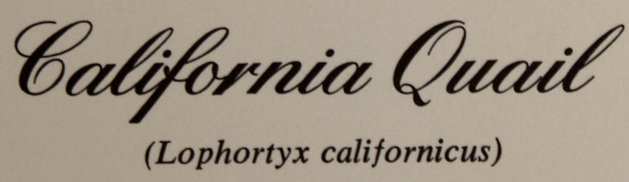 Five Signed Ray Harm Prints