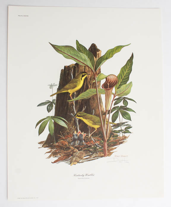 Five Signed Ray Harm Prints