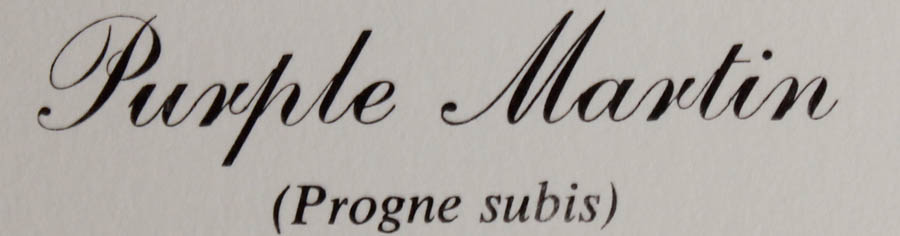 Five Signed Ray Harm Prints