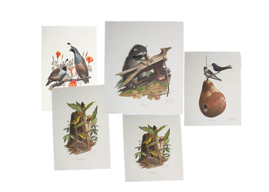 Five Signed Ray Harm Prints