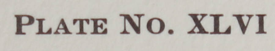 Five Signed Ray Harm Prints