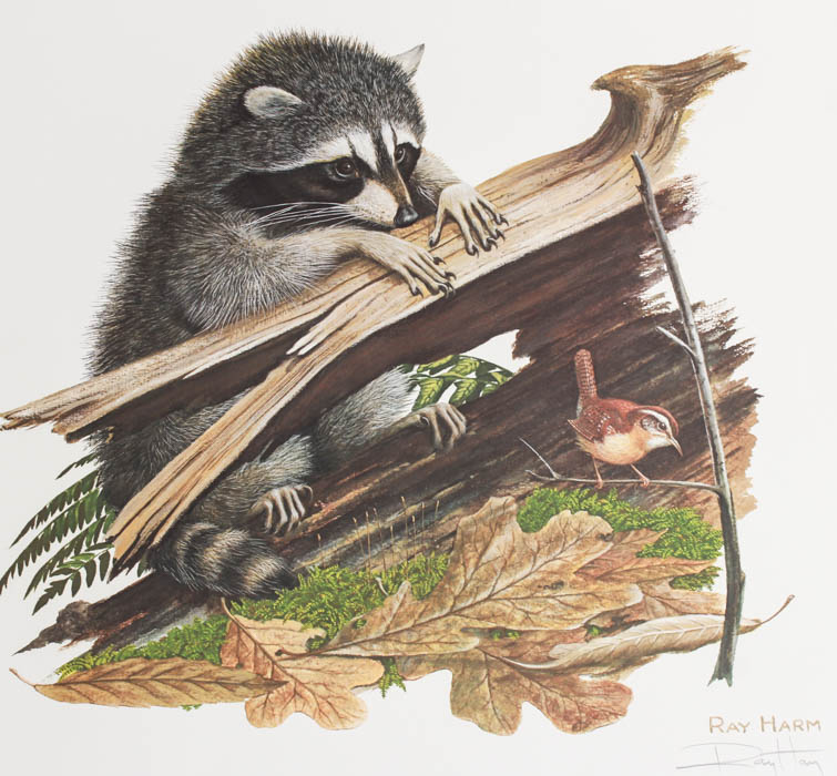 Five Signed Ray Harm Prints