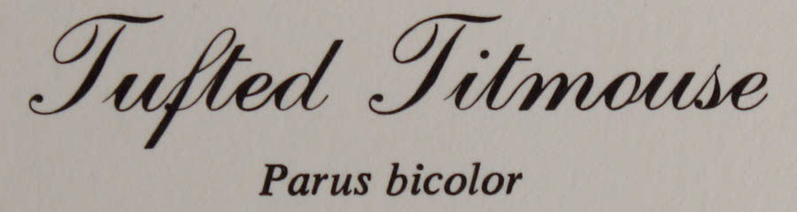 Five Signed Ray Harm Prints