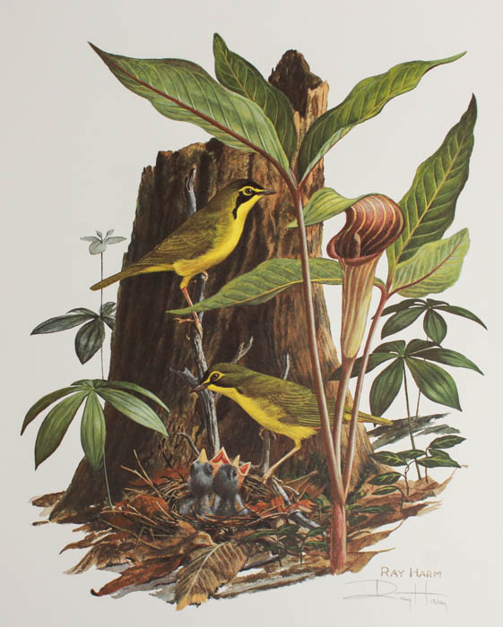 Five Signed Ray Harm Prints