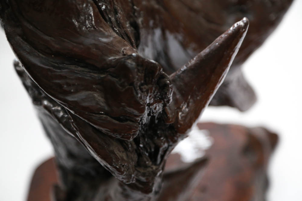 Large Driftwood Sculpture