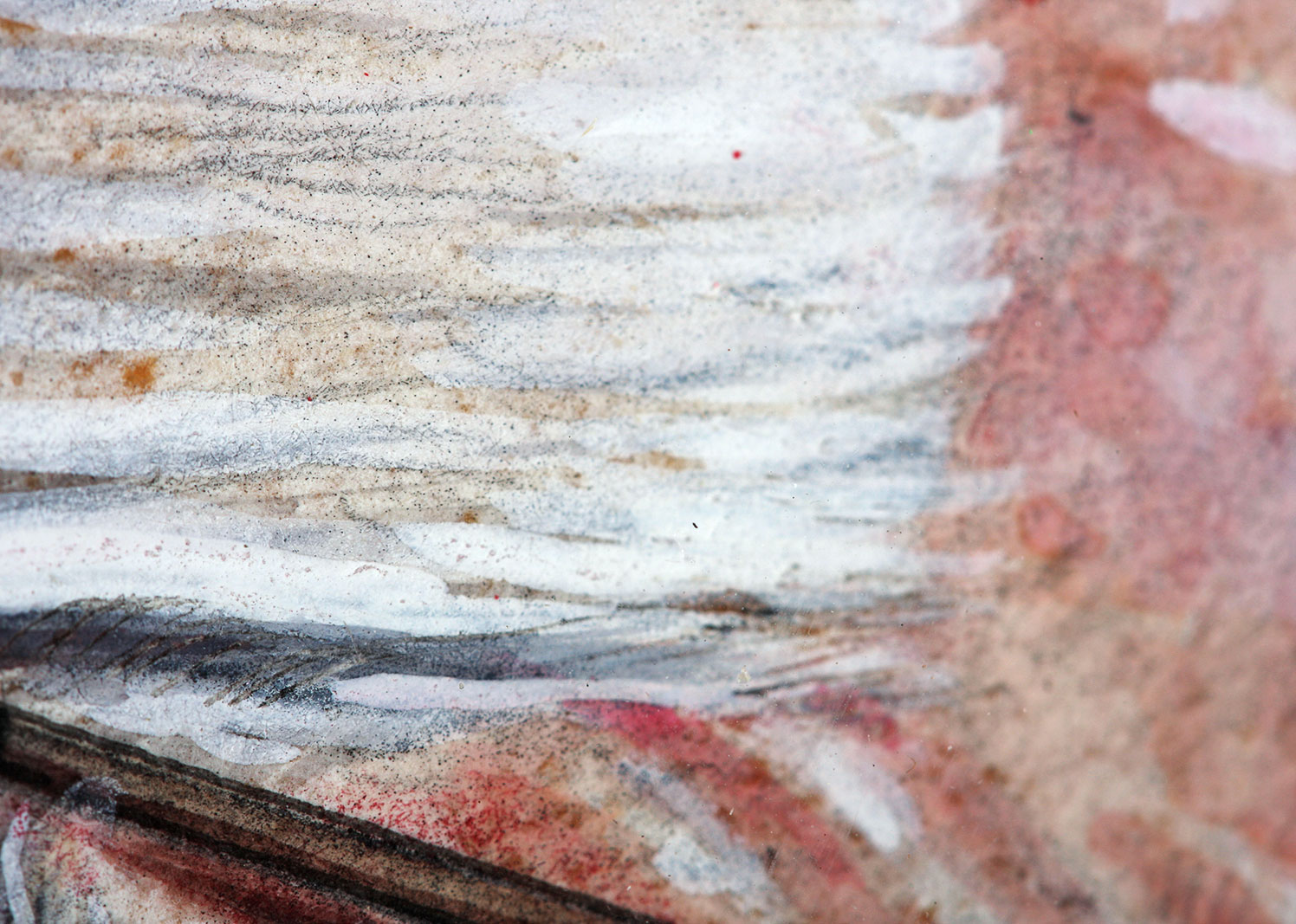 Drew Friedman Mixed Media Illustration Print of Ed McMahon for the "New York Observer"