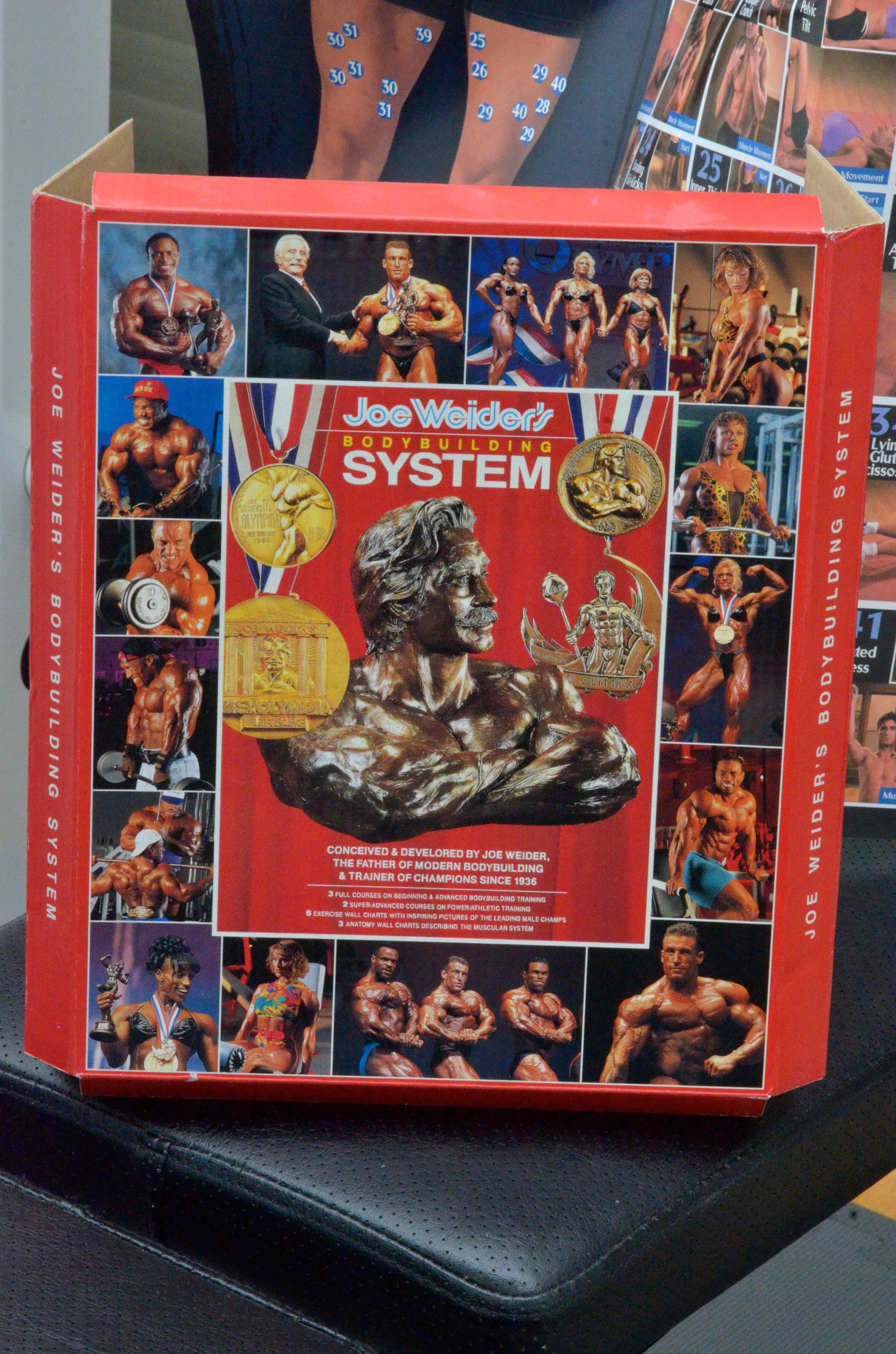 Weider Pro 408 Weight Bench With Weights