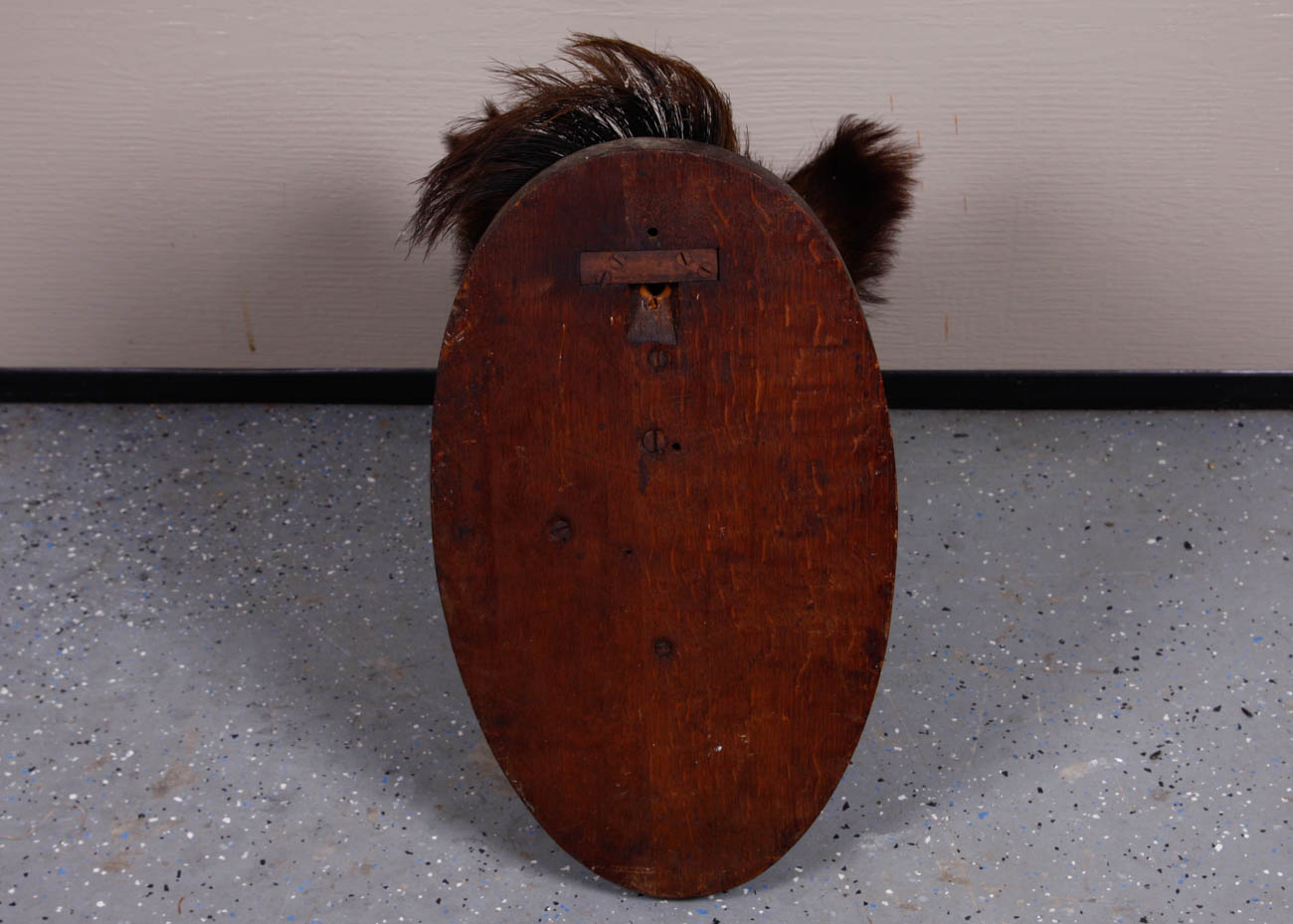 Taxidermy Mounted Boar Head