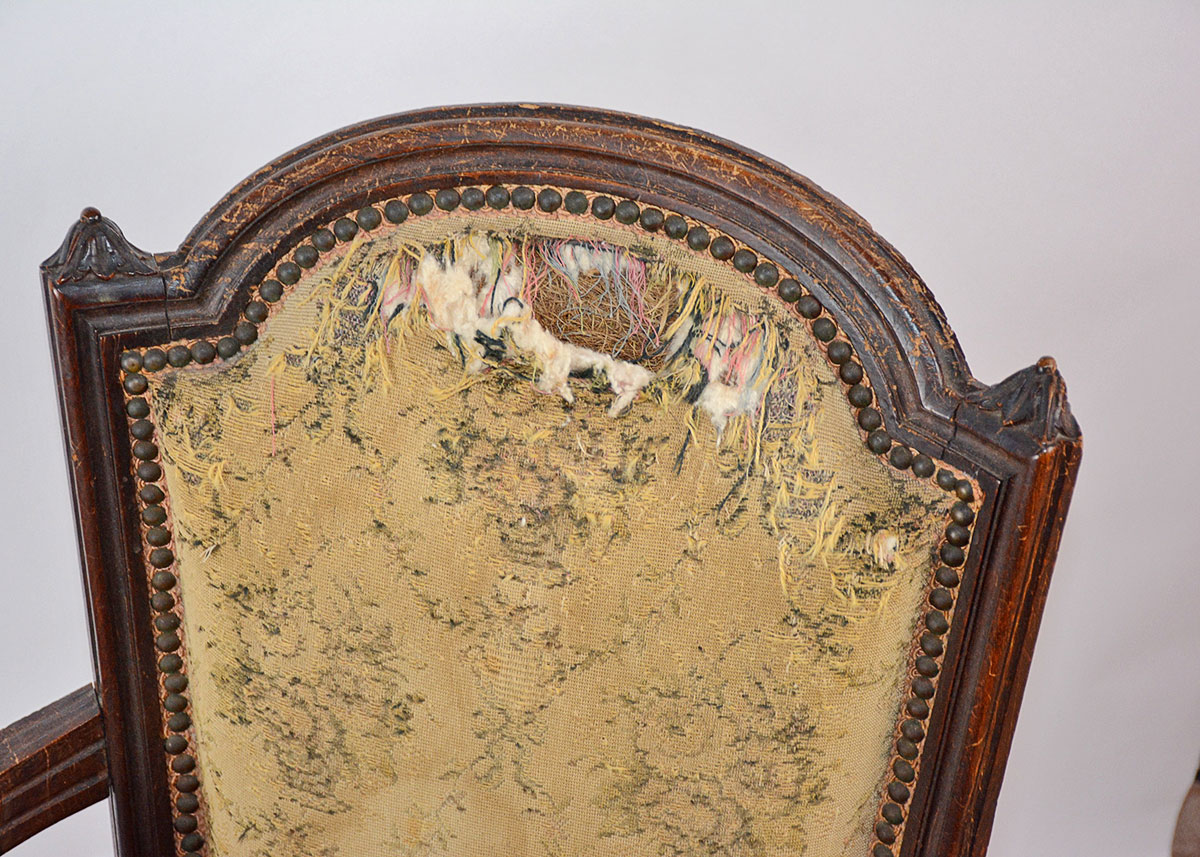 Neoclassical Upholstered Walnut Armchair