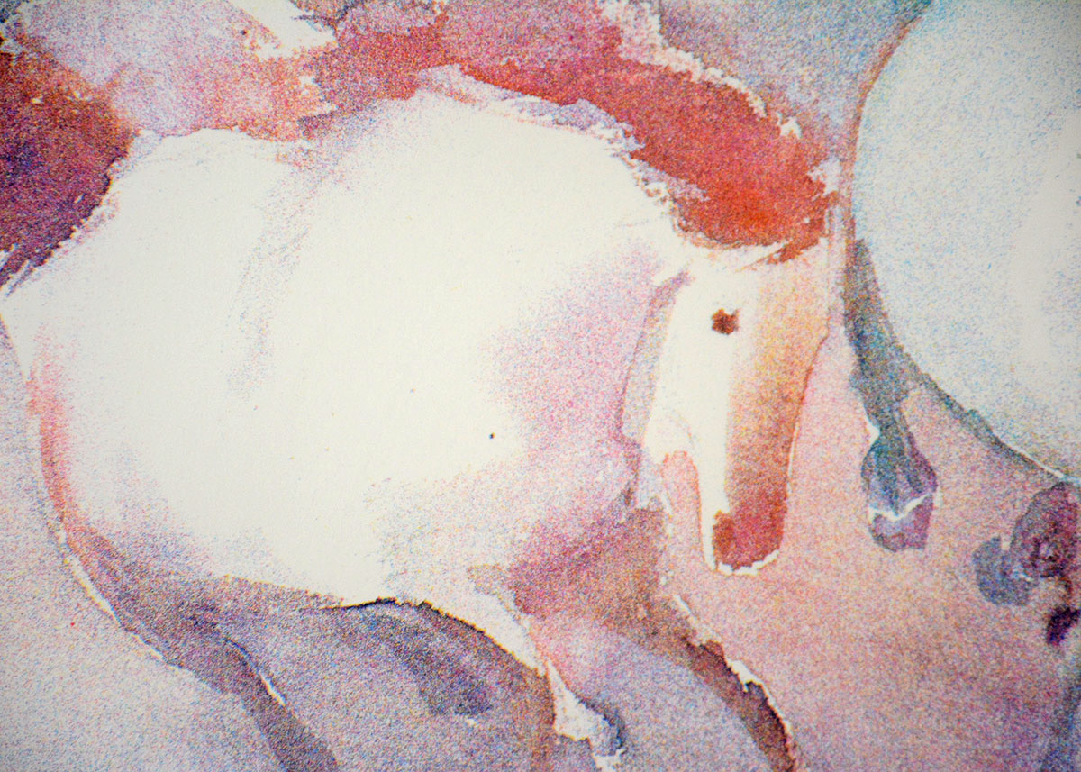 Framed and Signed Equestrian Serigraph of "Couleurs"