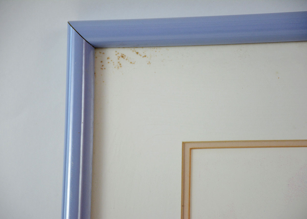 Framed and Signed Equestrian Serigraph of "Couleurs"