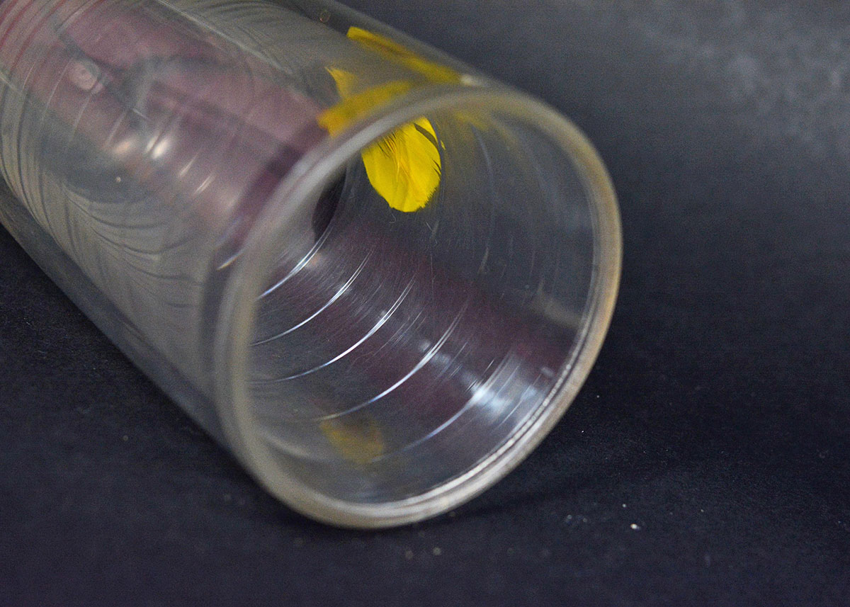 Four Fishing Lure Plastic Tervis Tumblers