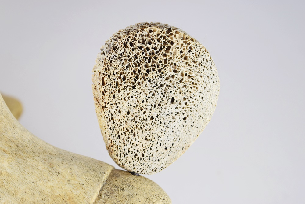 Inuit Fossilized Whale Vertebra Sculpture