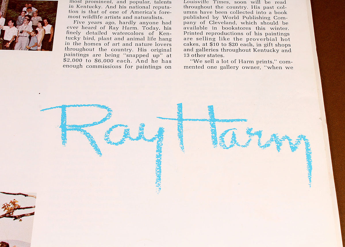 "Ray Harm's African Sketchbook"