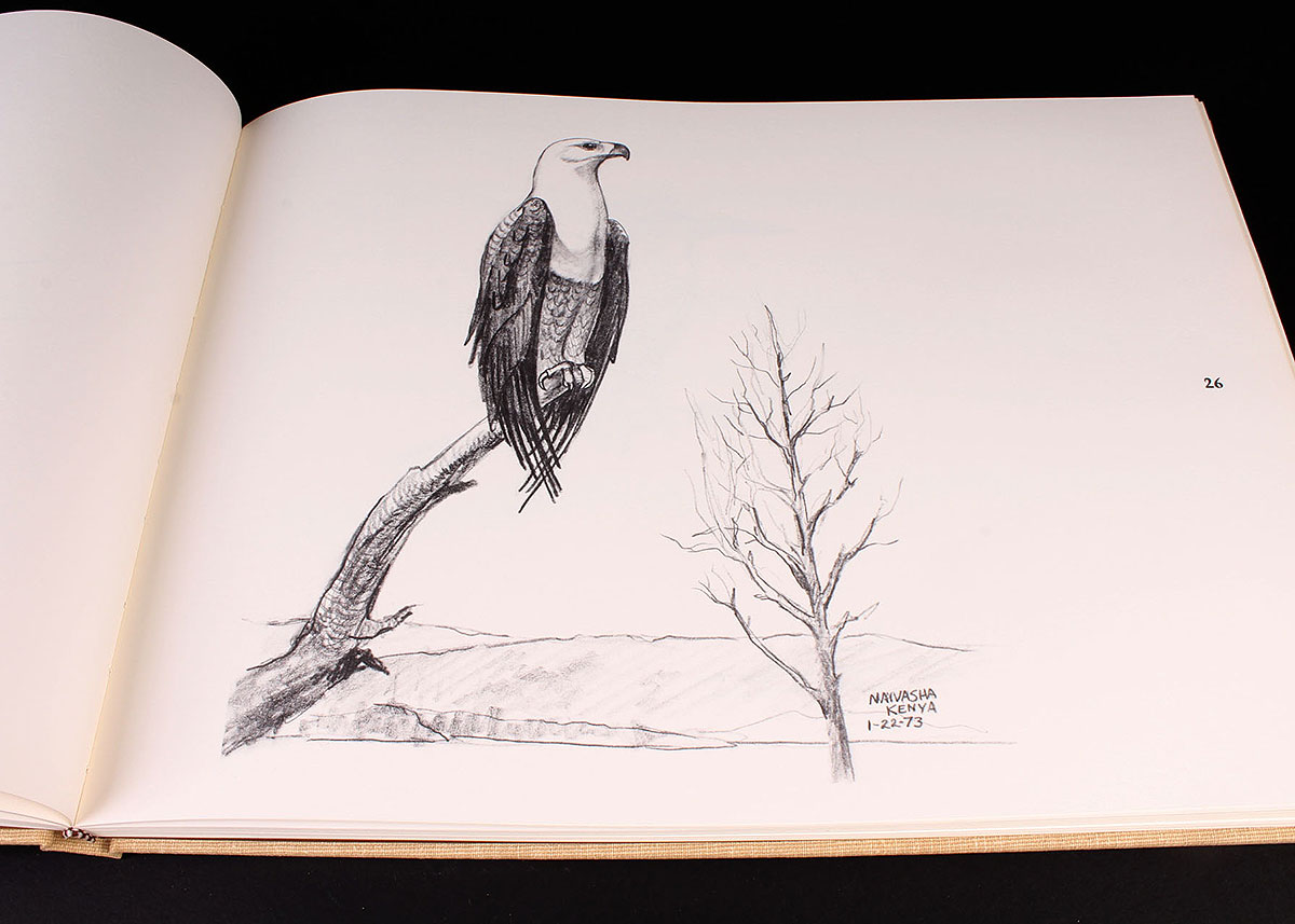 "Ray Harm's African Sketchbook"