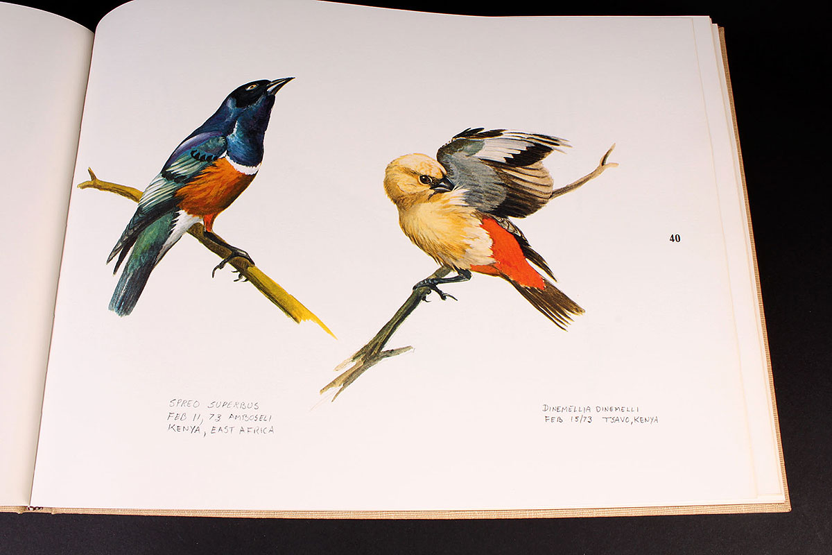 "Ray Harm's African Sketchbook"