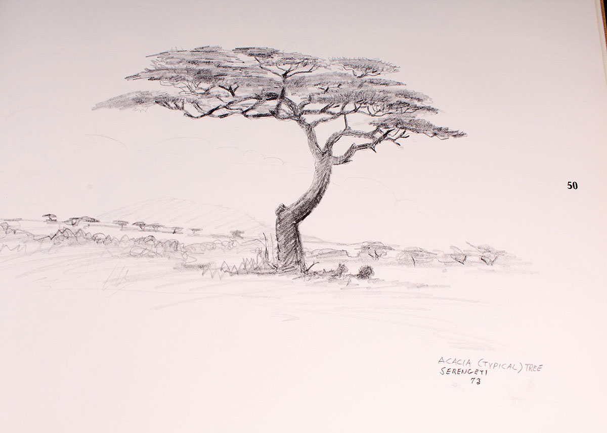 "Ray Harm's African Sketchbook"