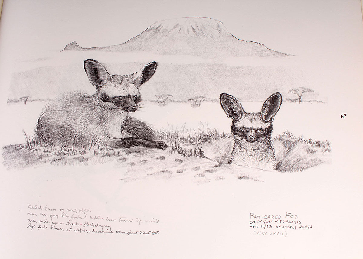 "Ray Harm's African Sketchbook"