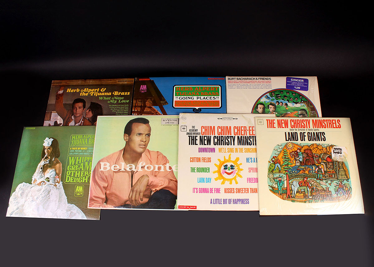 Popular 1960s and 1970s Artists Vinyl LPs