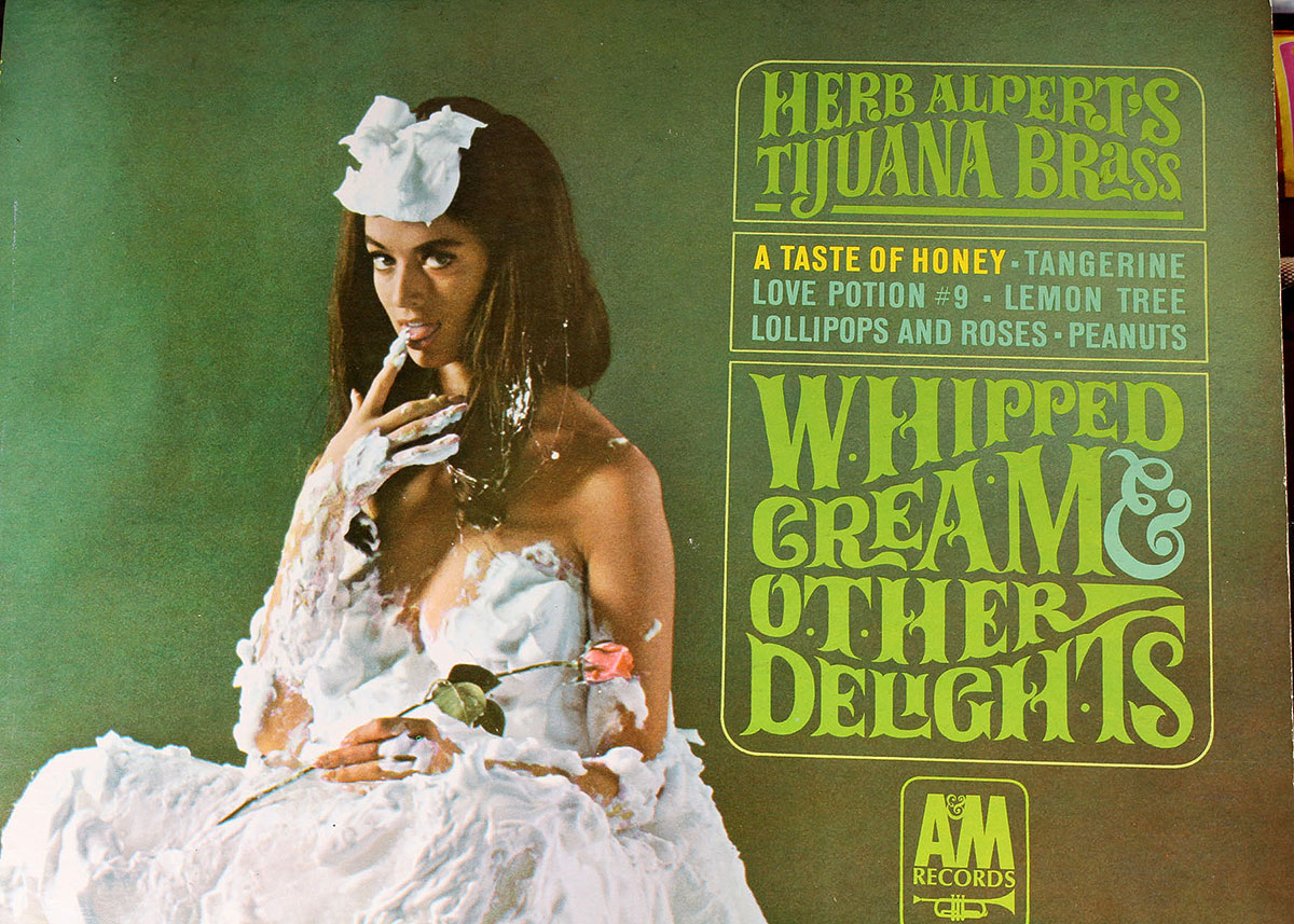 Popular 1960s and 1970s Artists Vinyl LPs