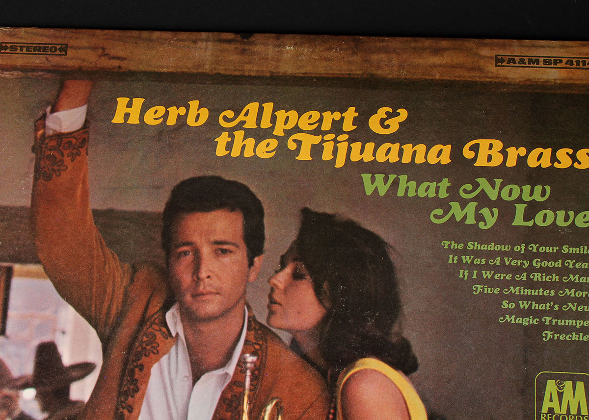 Popular 1960s and 1970s Artists Vinyl LPs