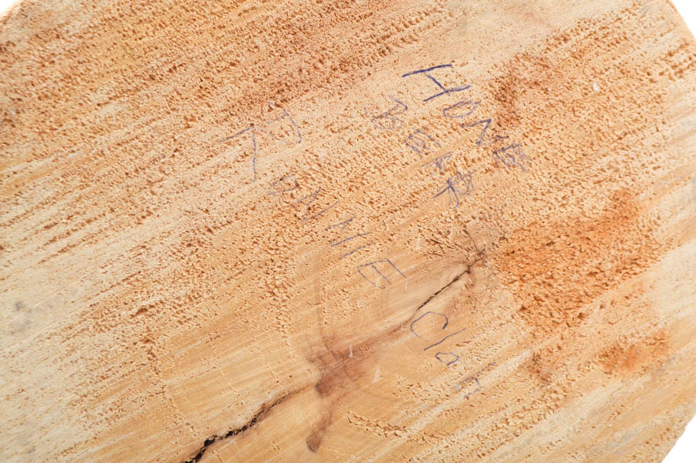 Large White Bear Kachina Doll