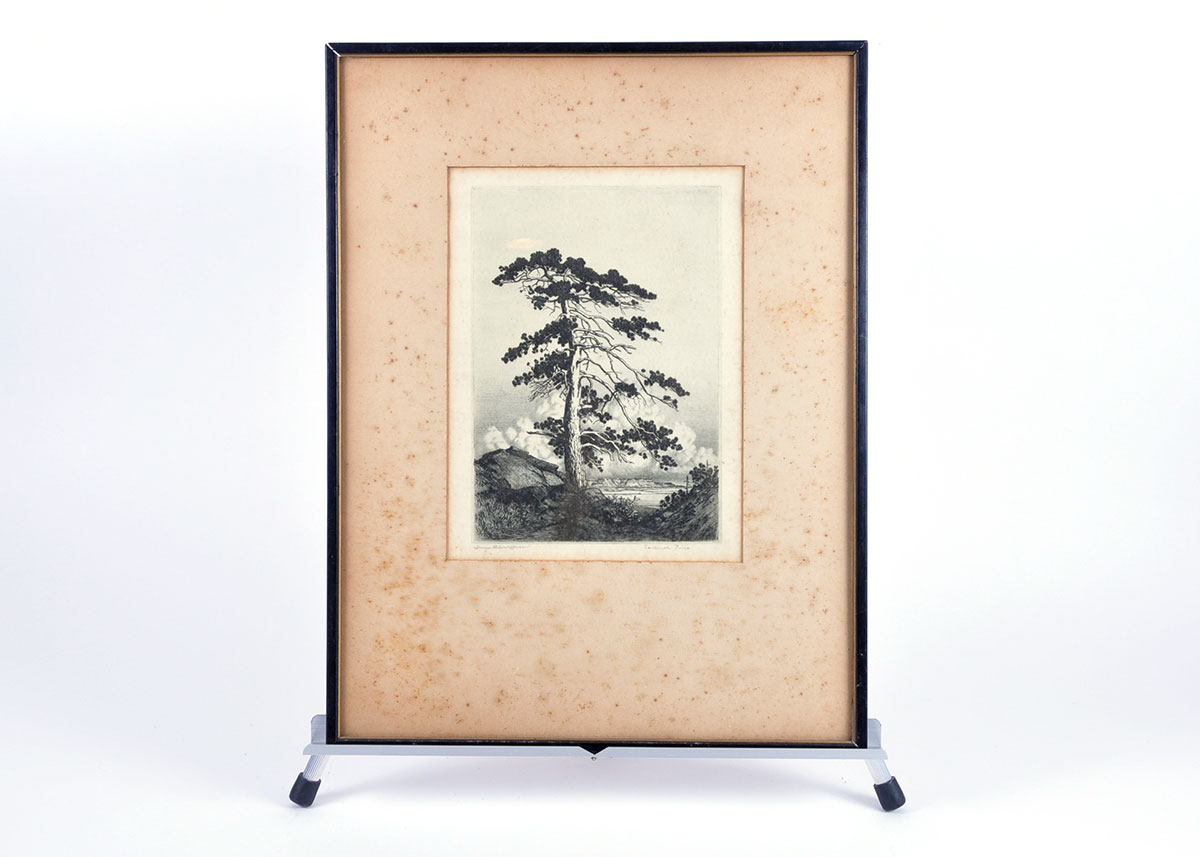 Framed George Elbert Burr Etching of "Sentinel Pine"