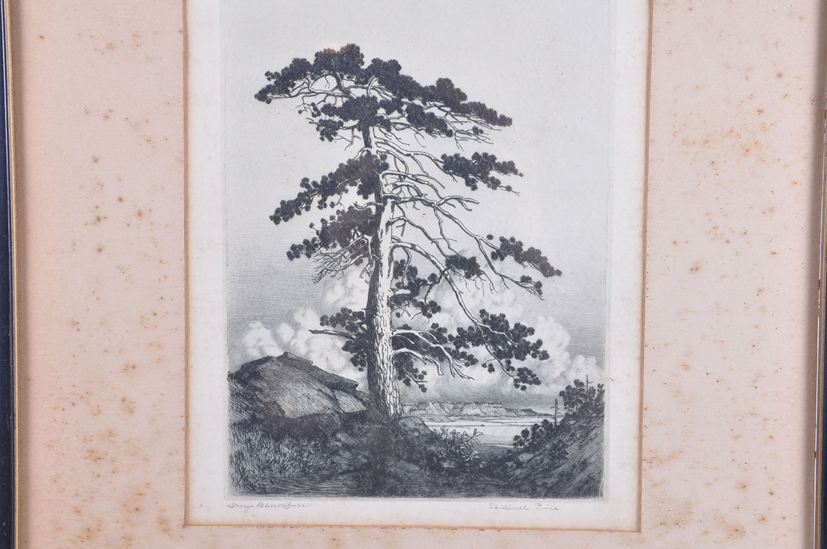 Framed George Elbert Burr Etching of "Sentinel Pine"