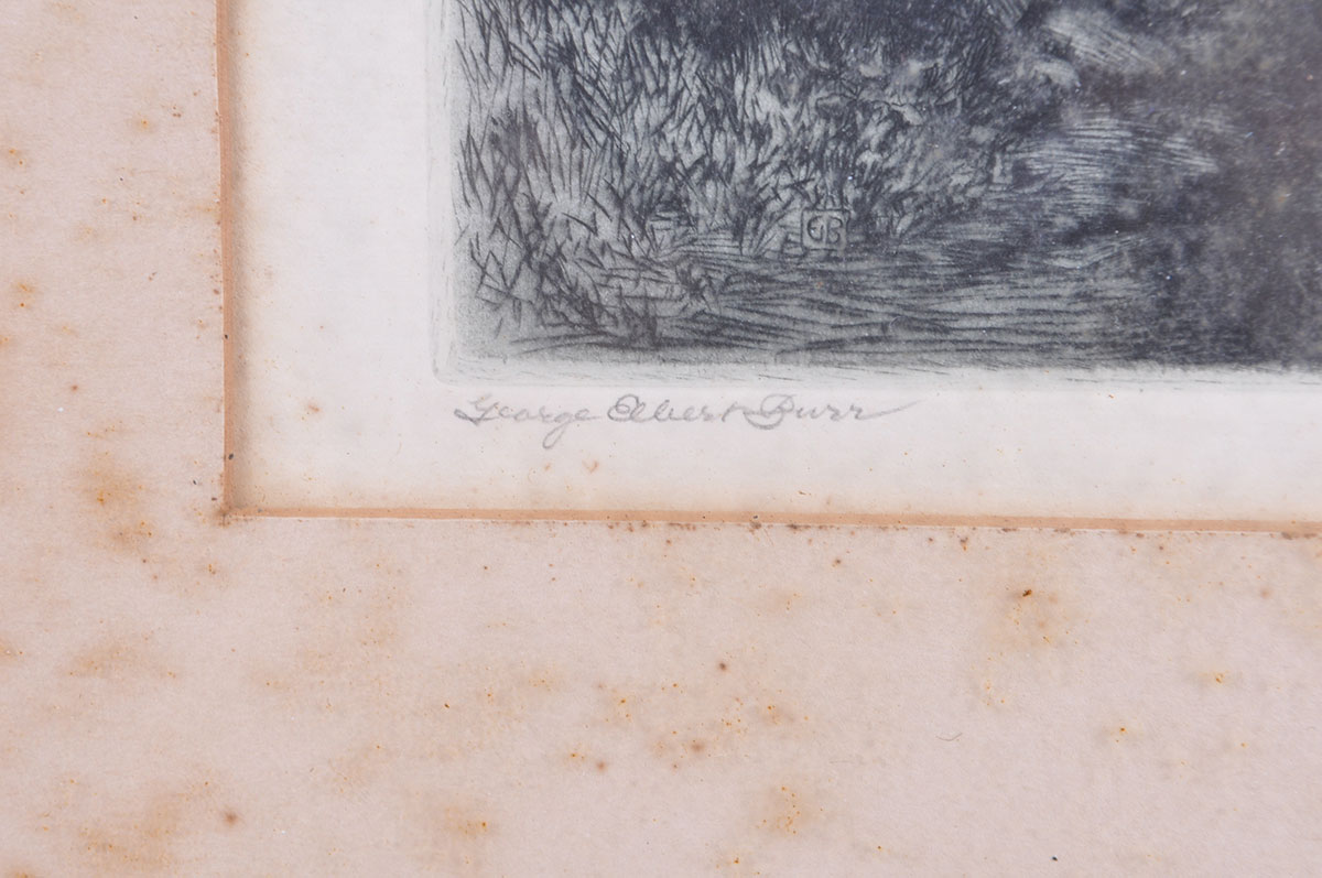 Framed George Elbert Burr Etching of "Sentinel Pine"