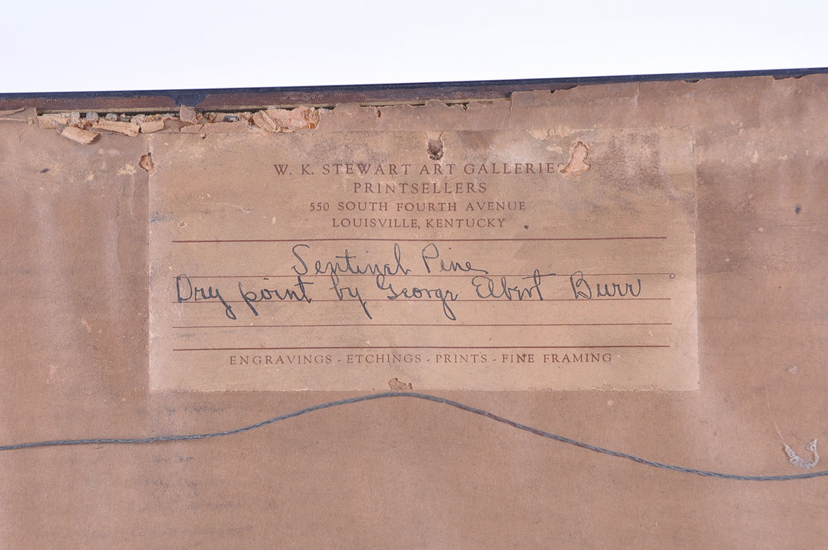 Framed George Elbert Burr Etching of "Sentinel Pine"