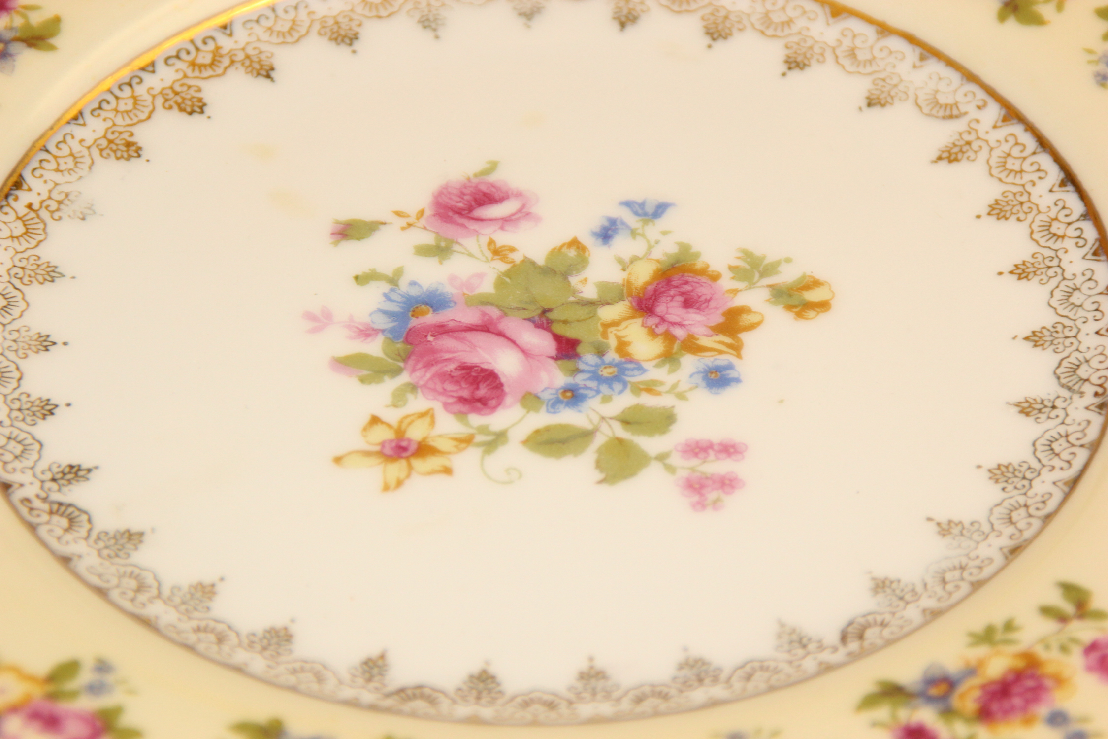 Gold Castle China Tableware