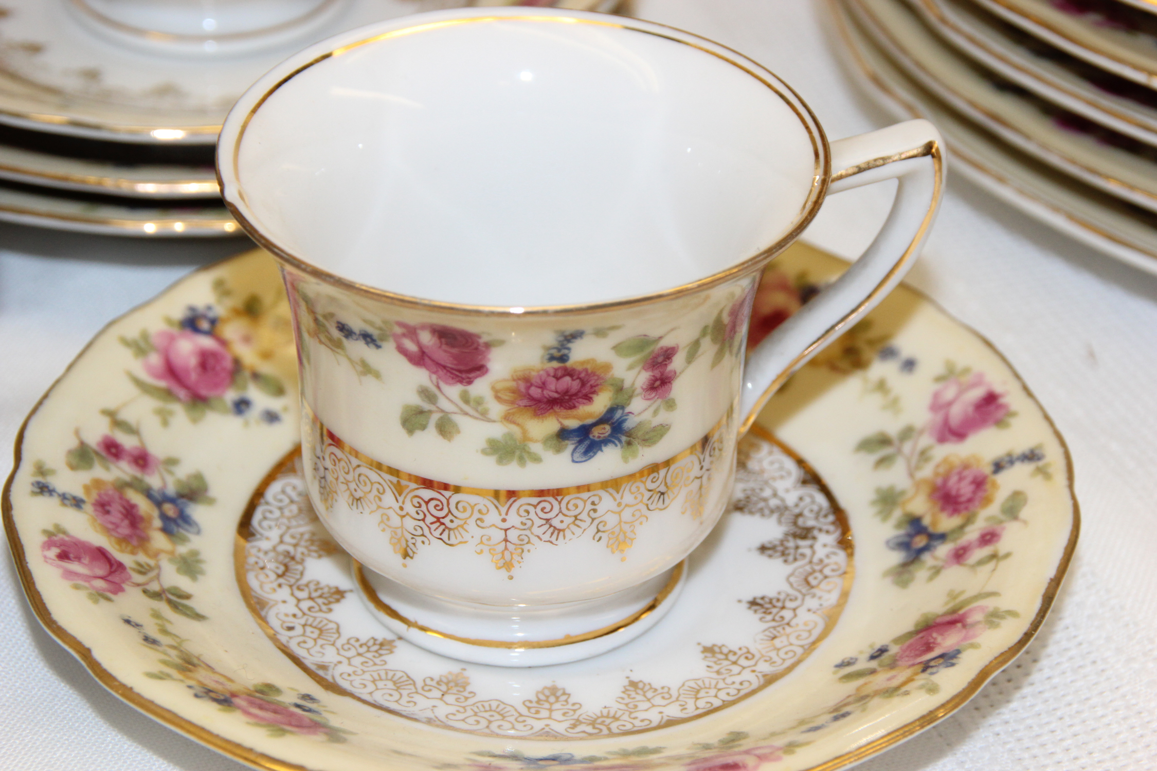 Gold Castle China Tableware