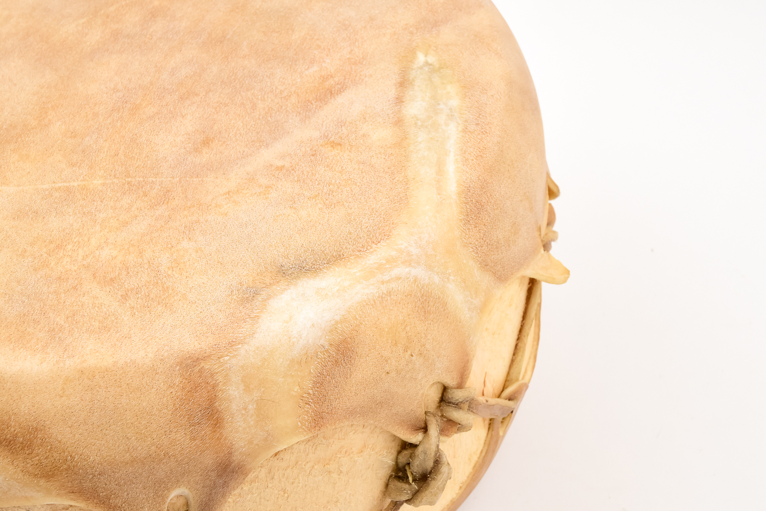 Trio of Native American Drums