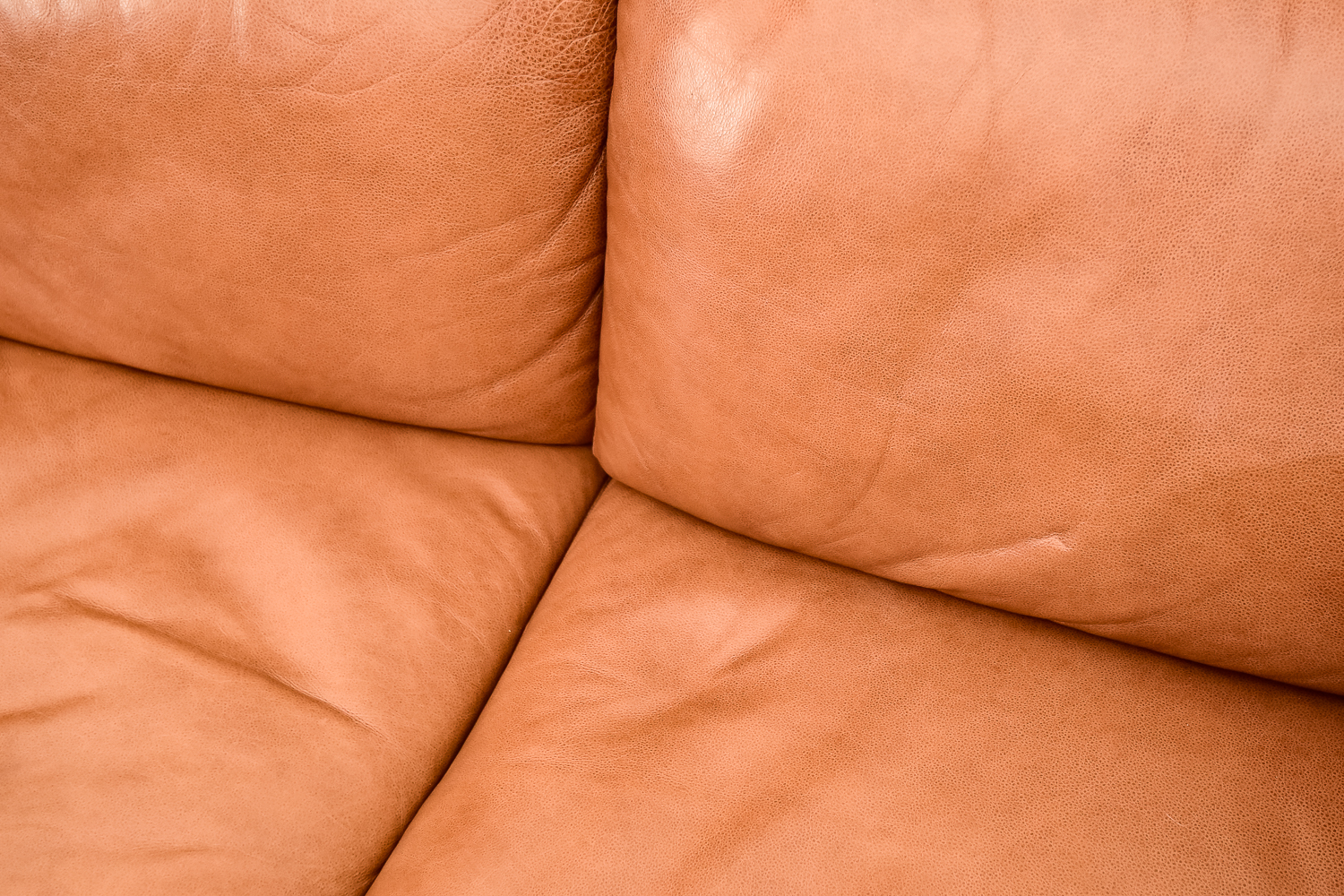 Leather Couch