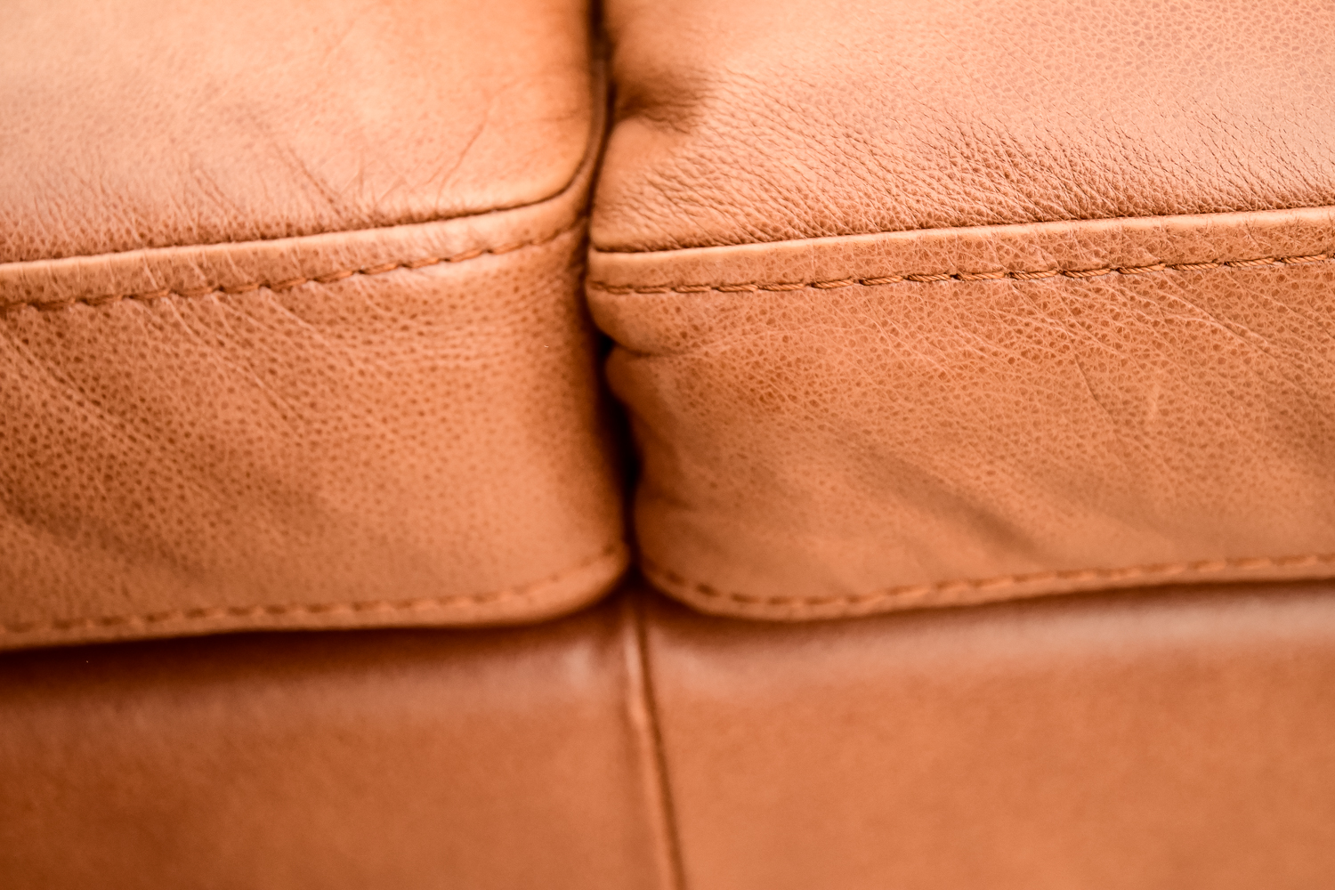 Leather Couch