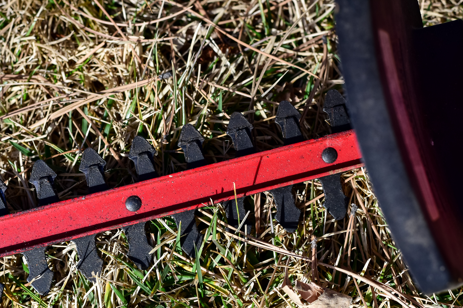 Hedge Trimming Equipment