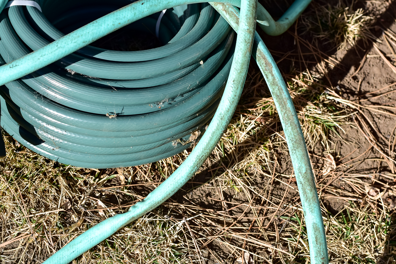 Pair of Green Vinyl Garden Hoses