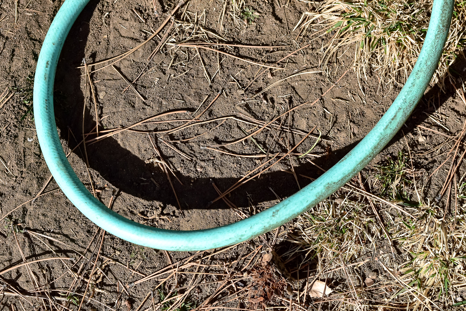 Pair of Green Vinyl Garden Hoses