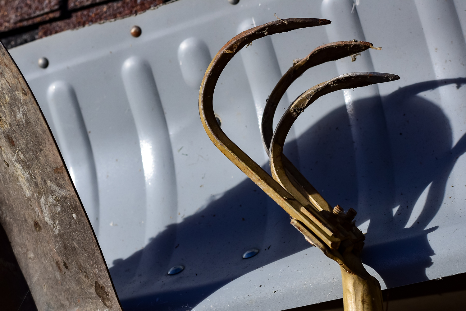 Assortment of Yard Tools