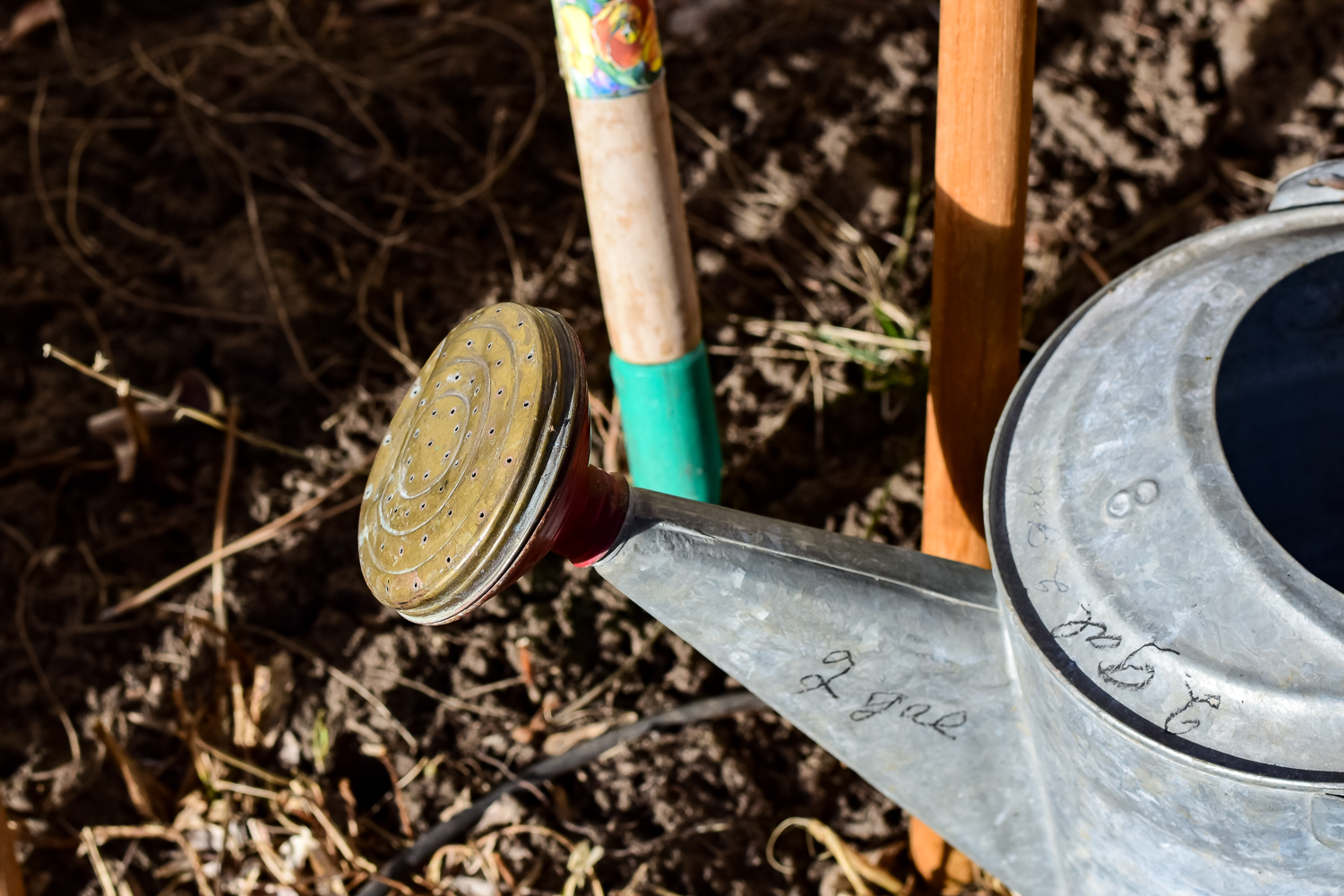 Assortment of Yard Tools