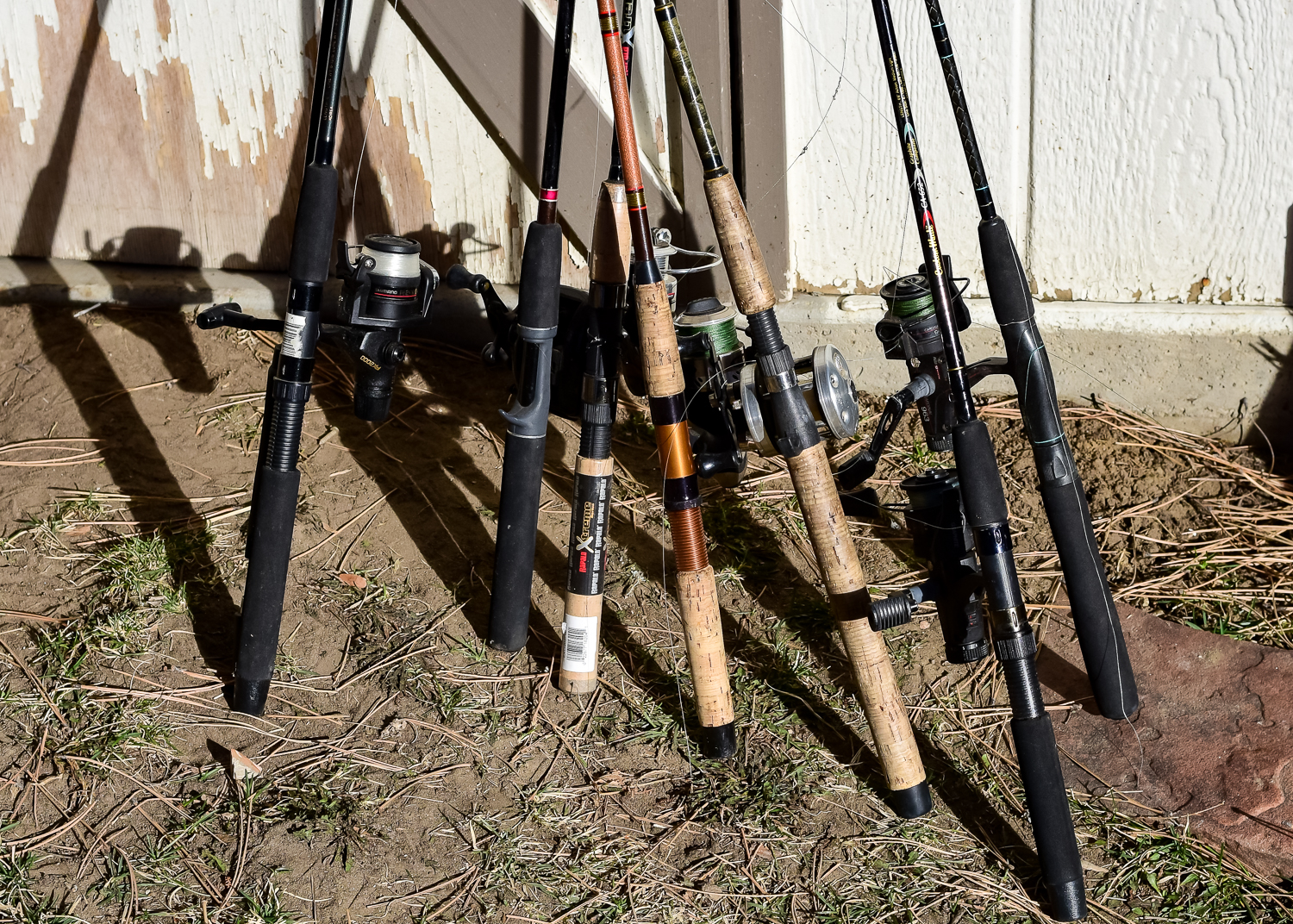 Collection of Fishing Rods