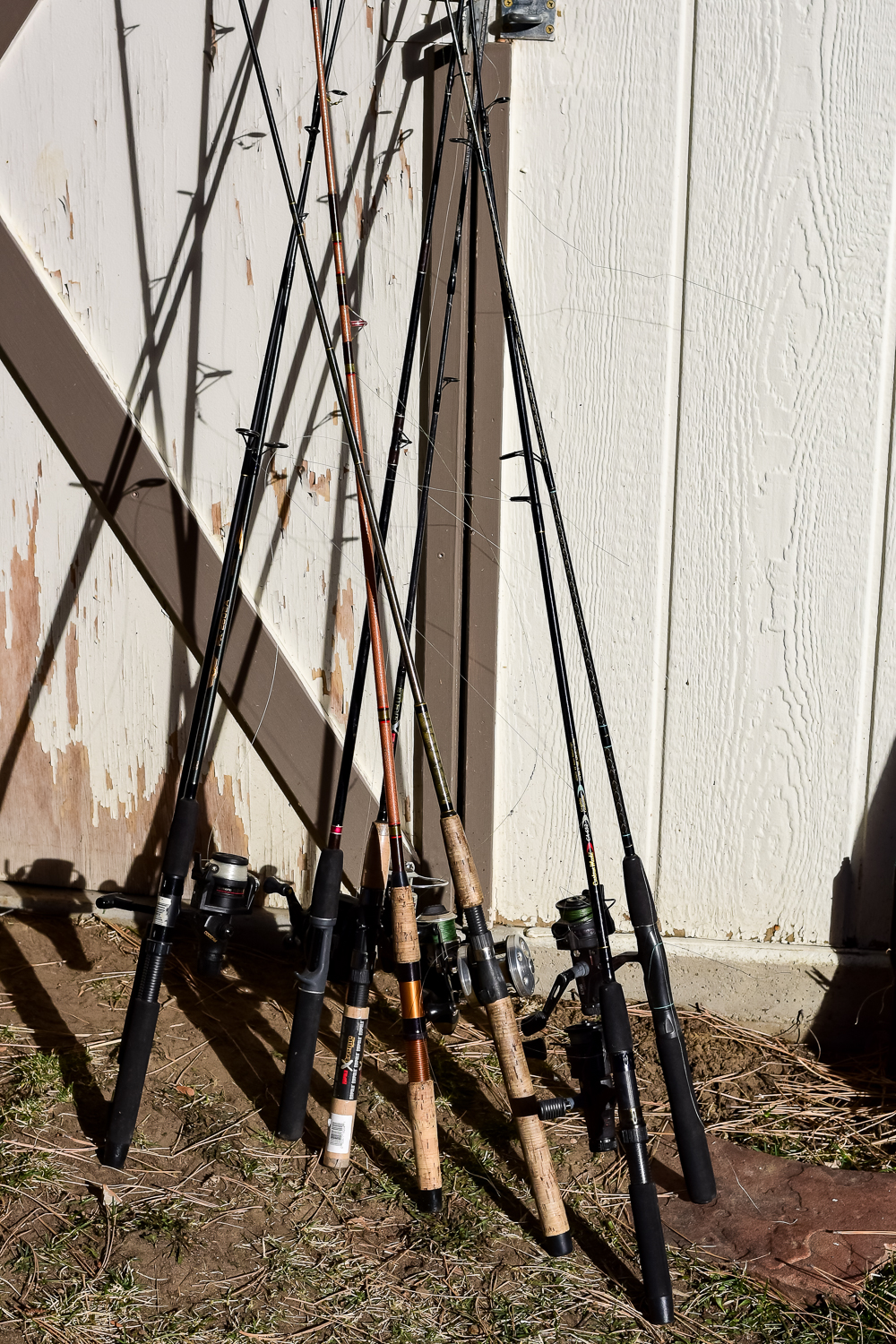 Collection of Fishing Rods